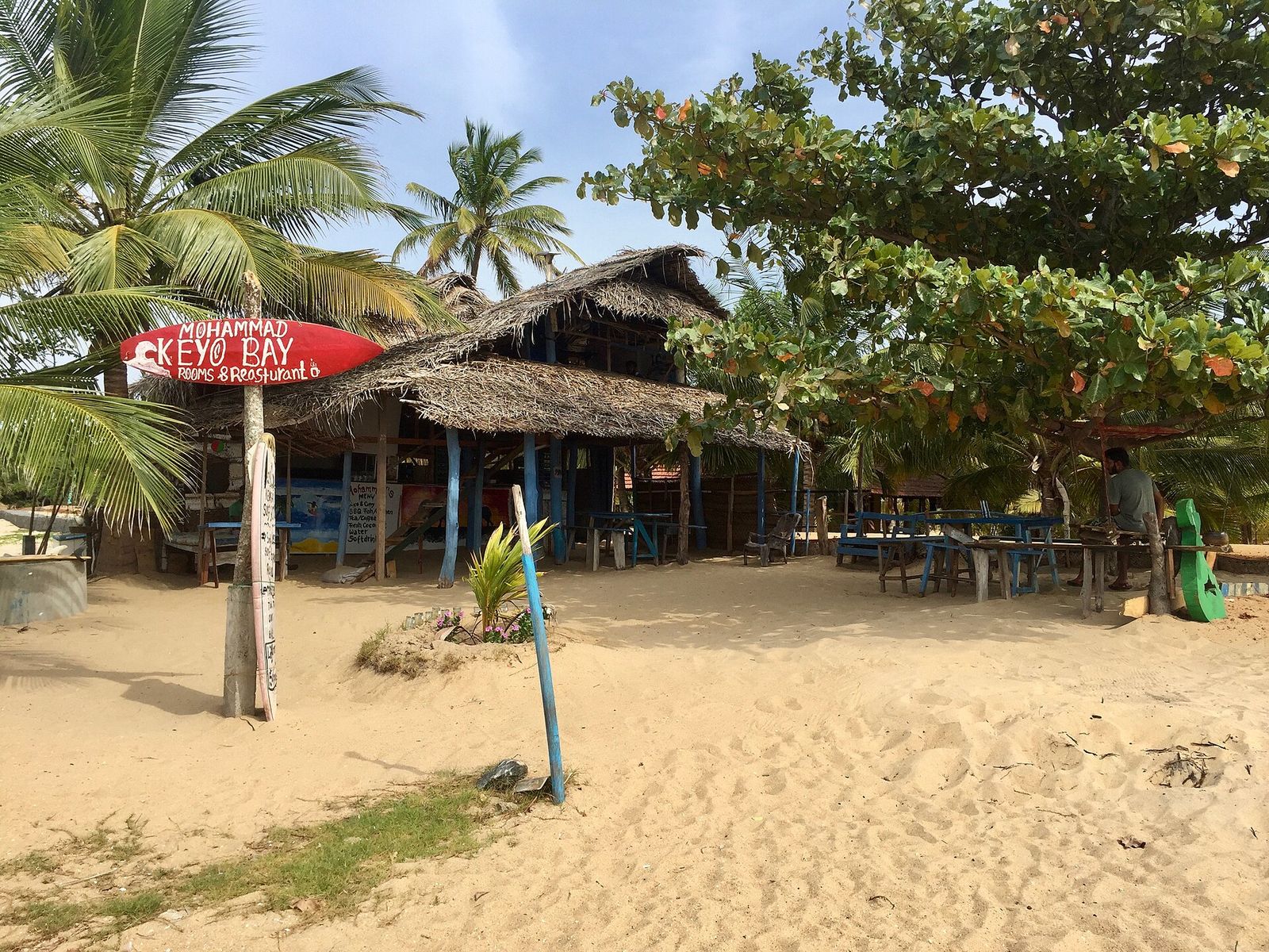 Palm-lined beach at Arugam Bay