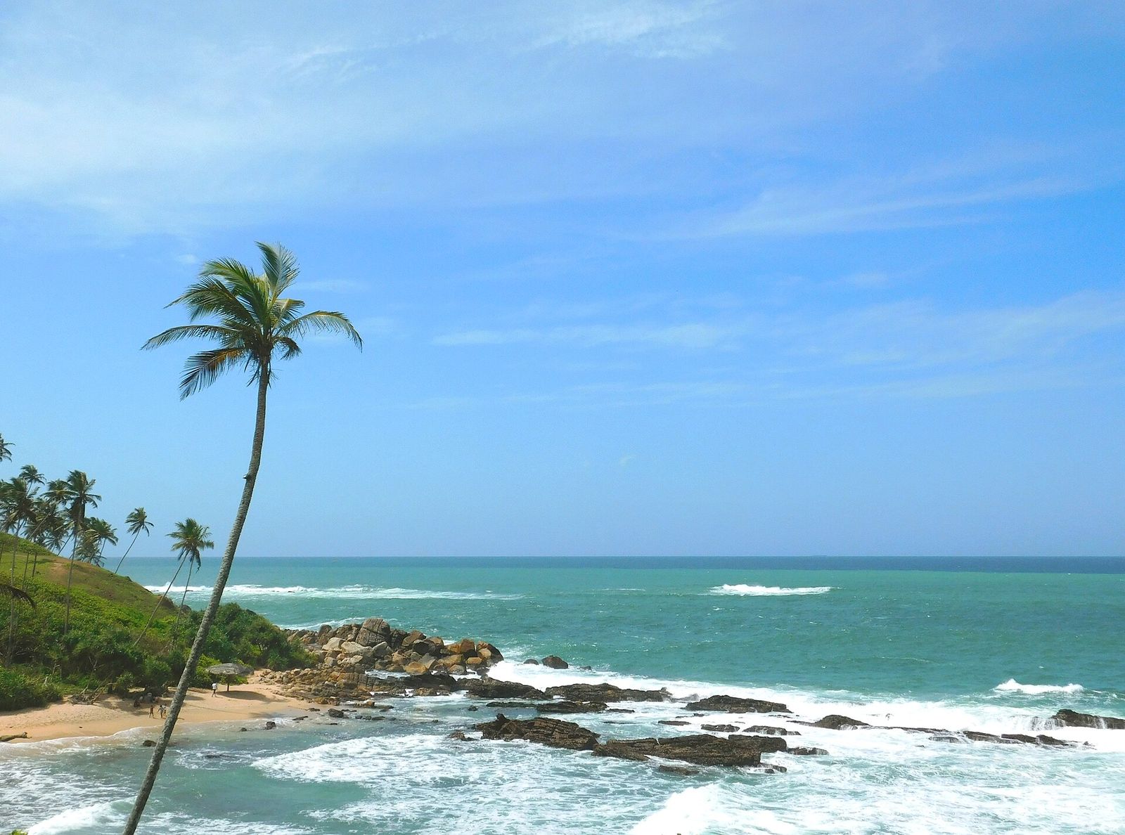 Palm trees over the surf on Sri Lanka's south coast