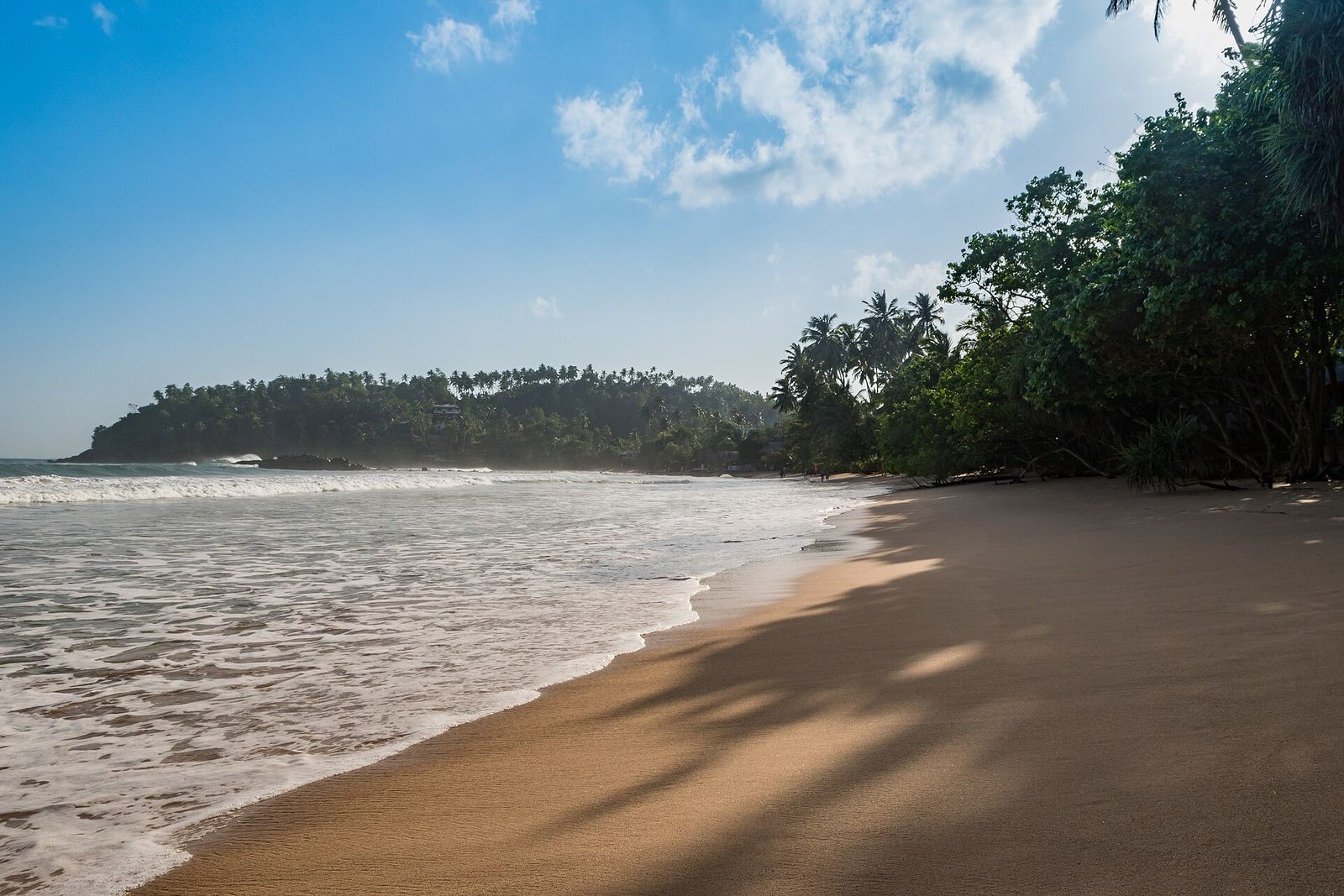 Palm trees and surf on a Sri Lankan beach