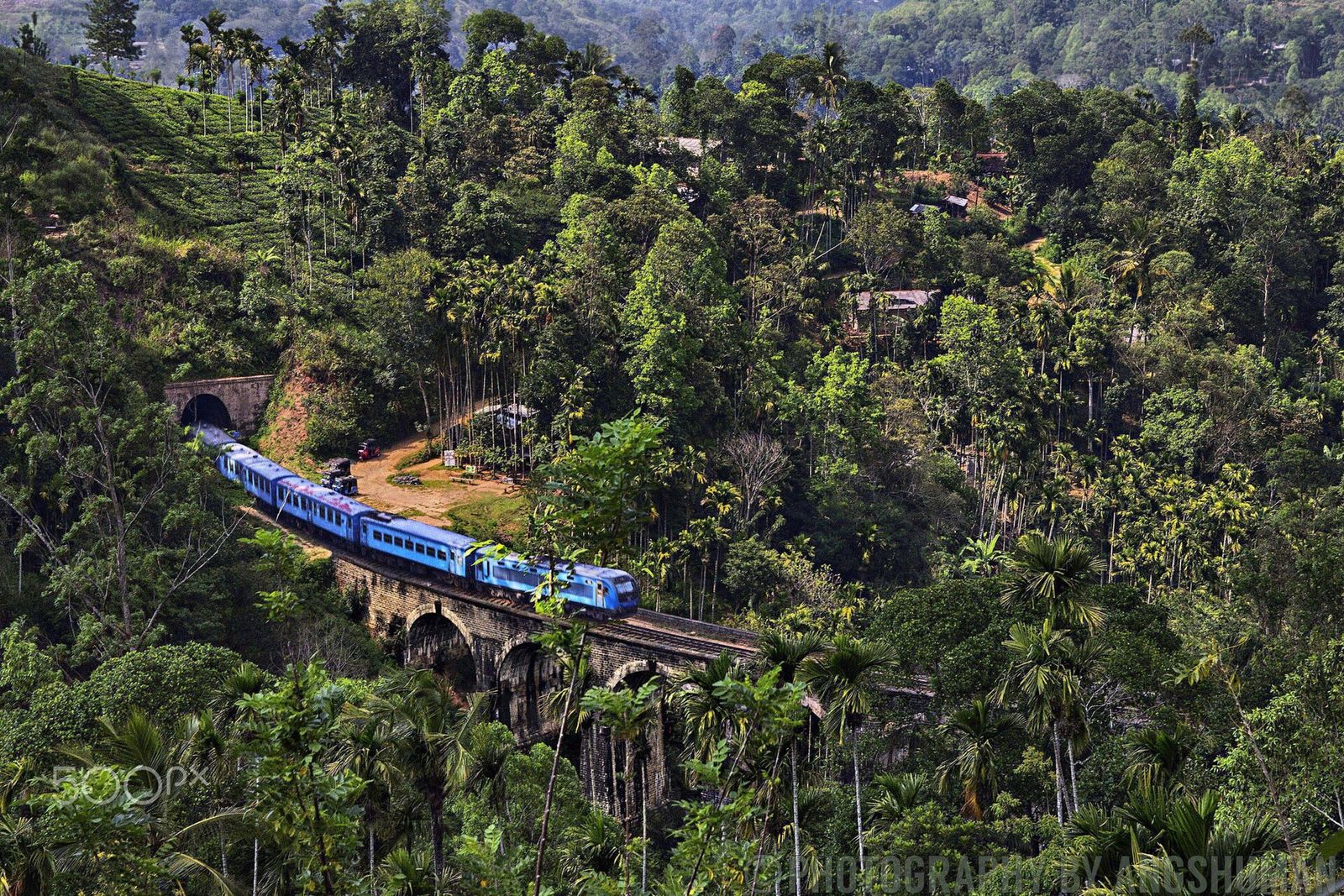 Train crossing the Nine Arch Bridge through jungle near Ella